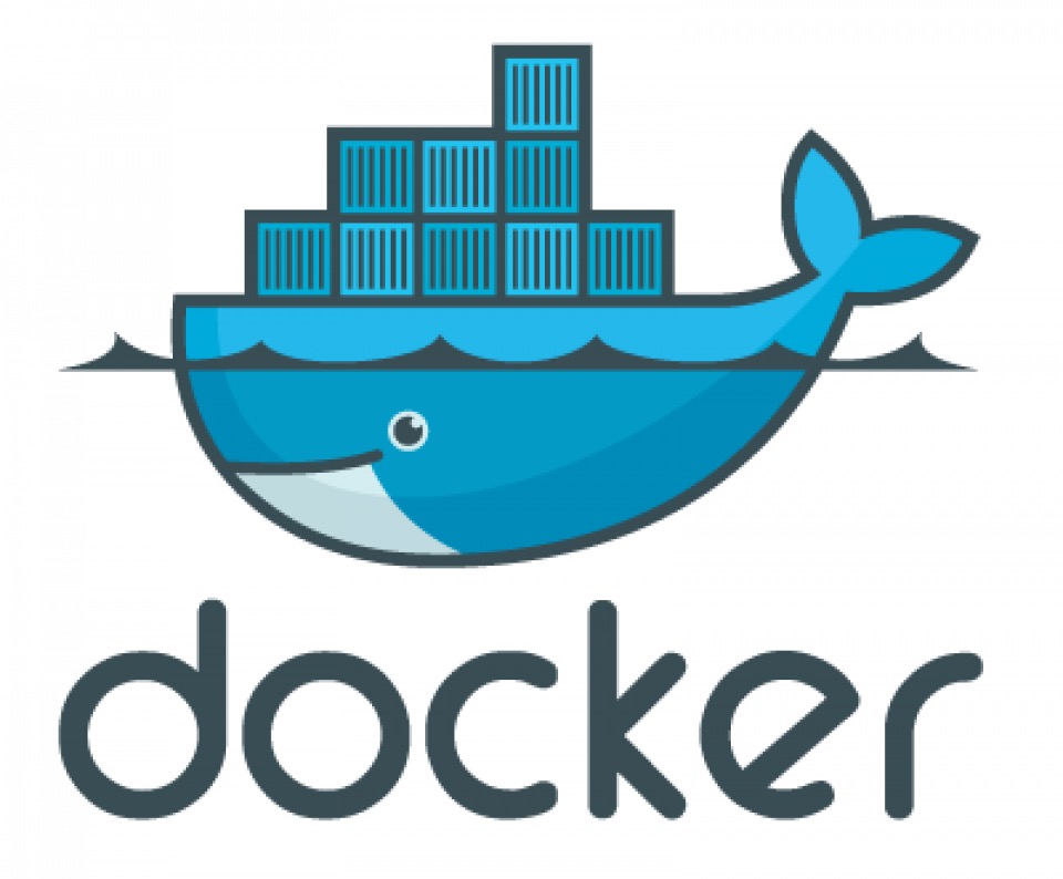 ELSR now runs on Docker